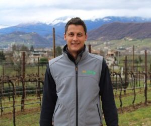 Sulle colline di Refrontolo, investimenti per una viticoltura sostenibile