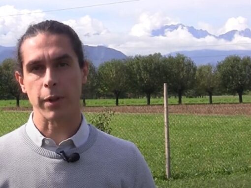 Nell’Alto vicentino un patto educativo che parte dalle fattorie