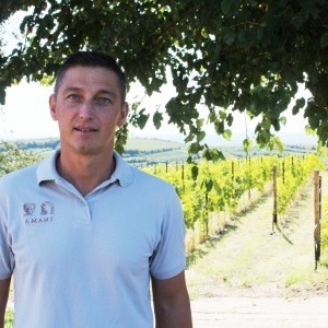 DI.VI.NE, un progetto per proteggere dai parassiti il meglio della viticoltura veneta