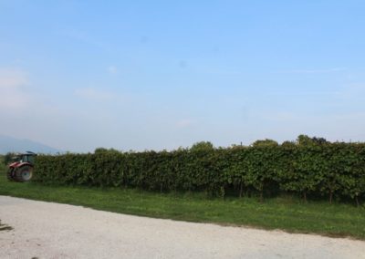 Società Agricola Monteverde - San Zenone degli Ezzelini, Treviso - caseificio - salumi - PSR Veneto